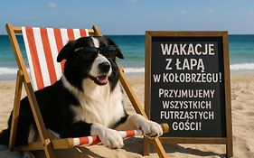 119 W 5 Gwiazdkowym Royal Tulip Sand 200 M Plaza Dobruk Apartamenty
